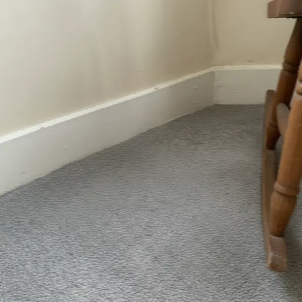 After Carpet Stain Removal